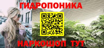 герыч Дубна