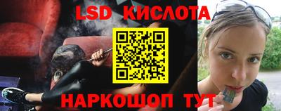 крисы Донской
