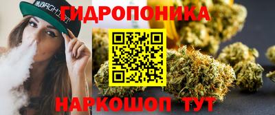шишки Тверь