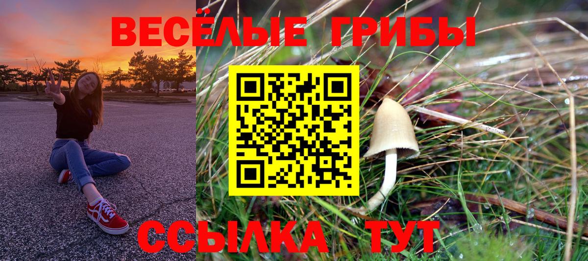 Псилоцибиновые грибы Cubensis  Вход с VPN  Нижнеудинск 